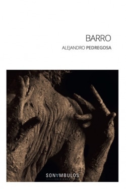 Barro (Tapa blanda) 1