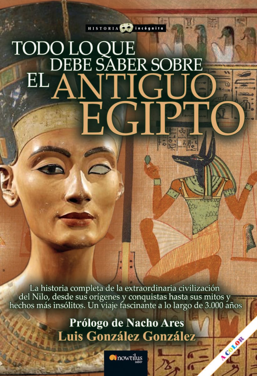 Todo lo que debe saber sobre el antiguo egipto n.E (Tapa blanda con  solapas) · Libros · El Corte Inglés