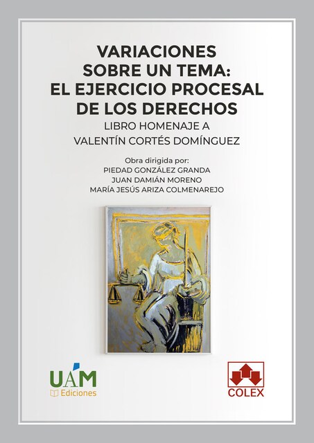 Imagen 0 de VARIACIONES SOBRE UN TEMA EL EJERCICIO PROCESAL DE LOS DERE