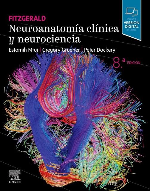 Imagen 0 de FITZGERALD NEUROANATOMIA CLINICA Y NEUROCIENCIA