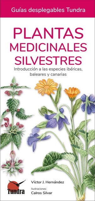 Imagen 0 de PLANTAS MEDICINALES SILVESTRES GUIAS DESPLEGABLES TUNDRA