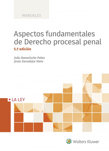 Imagen 0 de Aspectos fundamentales de derecho procesal penal (5.ª Edición)
