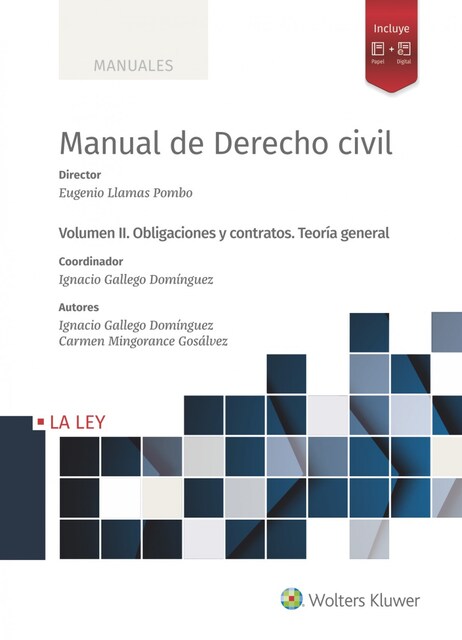 Imagen 0 de Manual de Derecho Civil