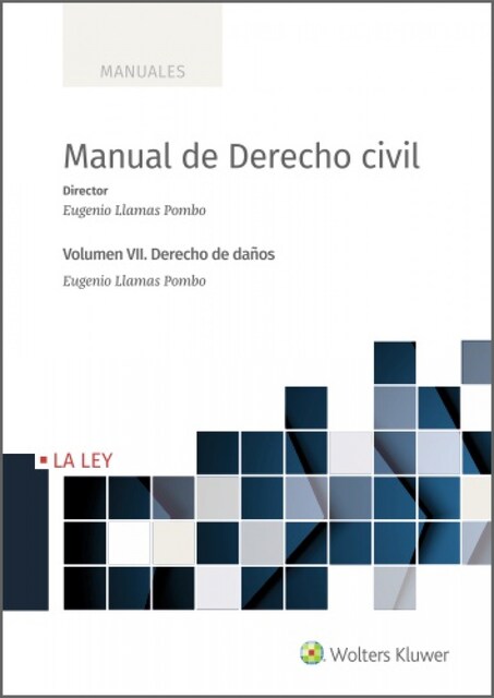 Imagen 0 de Manual de Derecho Civil