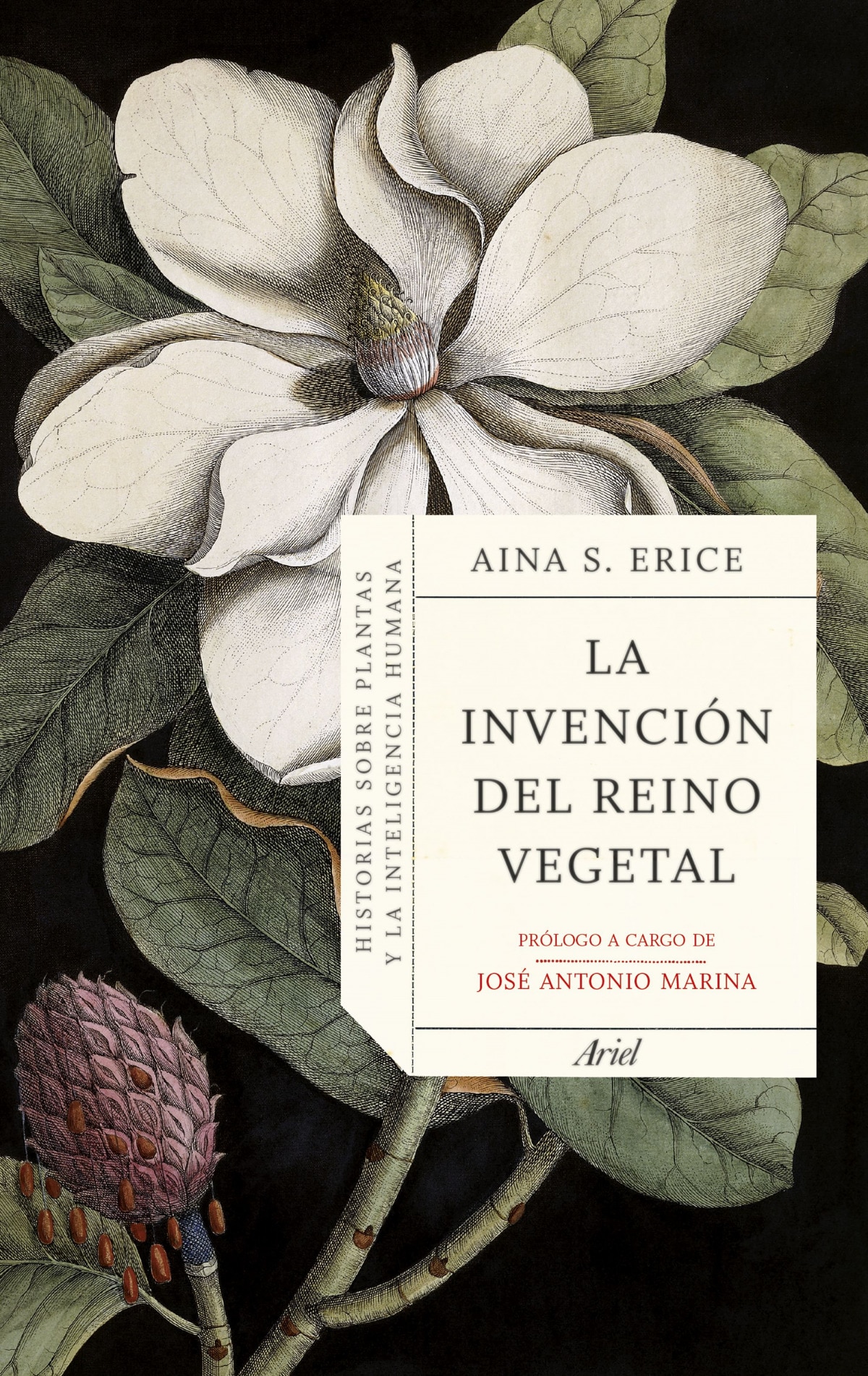 Imagen 1 de La invención del reino vegetal: Historias sobre plantas y la inteligencia humana  (Tapa blanda con solapas)