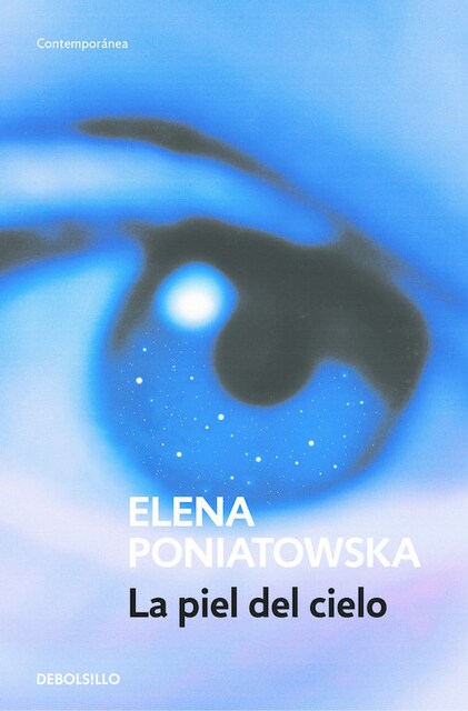 Imagen 0 de La piel del cielo (Premio Alfaguara de novela 2001)