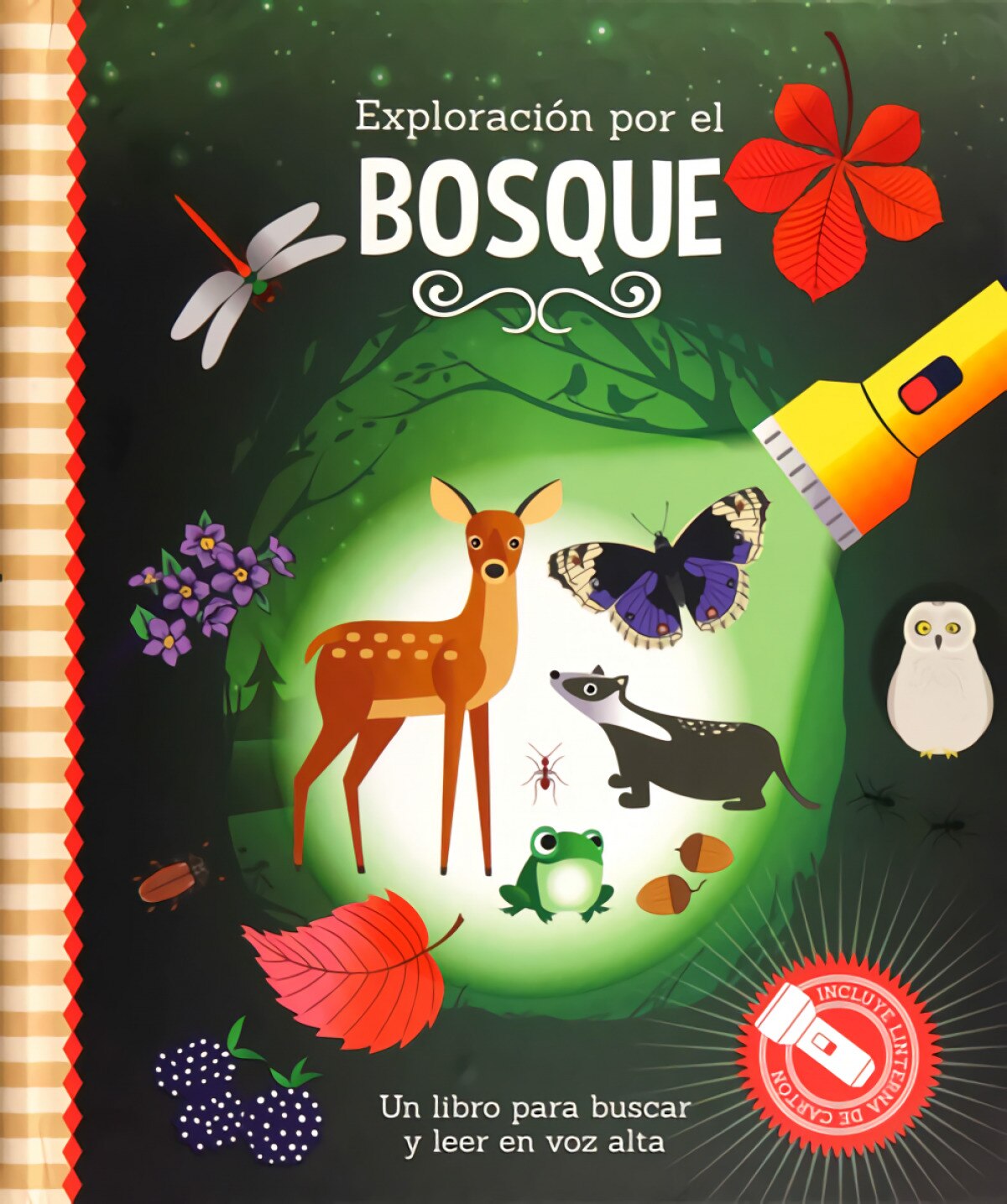 Exploración por el bosque 1
